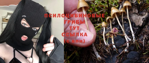 меф VHQ Новозыбков
