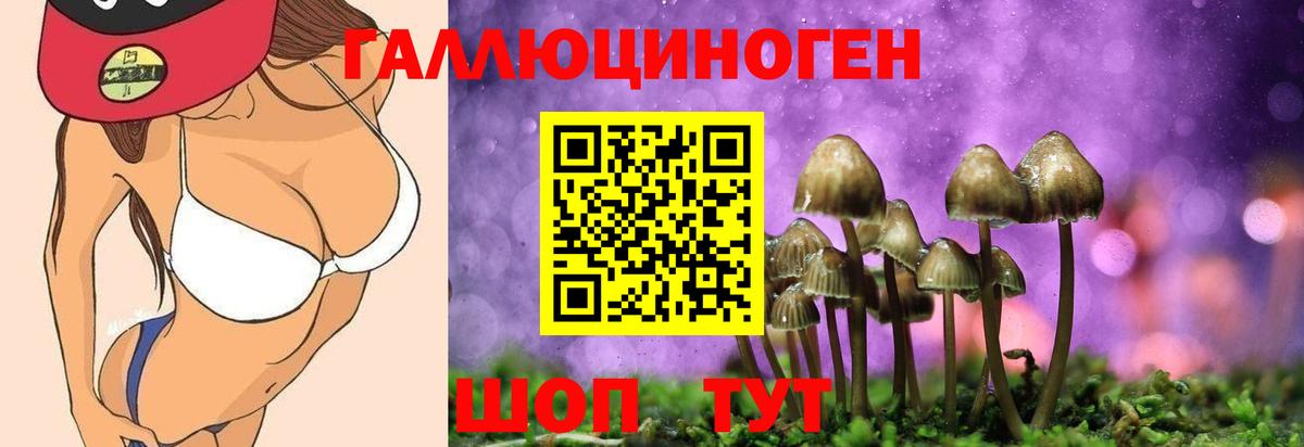 Псилоцибиновые грибы Psilocybe  Галлюциногенные грибы Psilocybe  Ижевск  Вход с VPN 